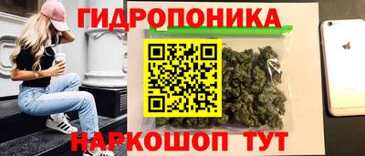 прущие крисы Рыбинск