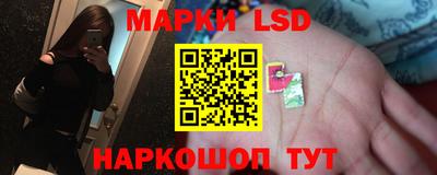 spice Рязань