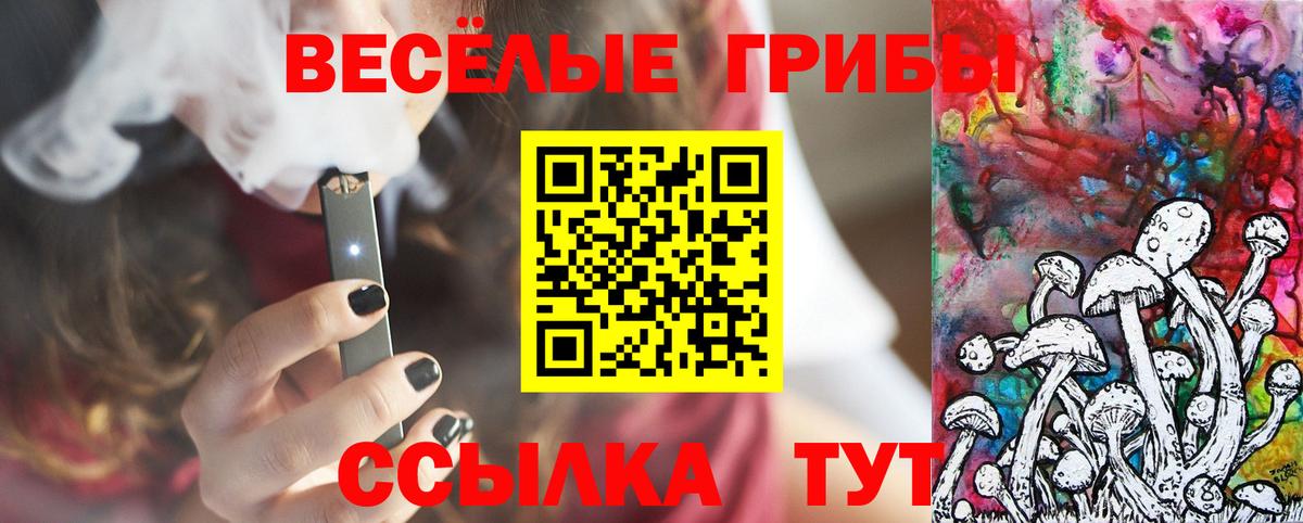 Новочебоксарск  Псилоцибиновые грибы Magic Shrooms  Вход с VPN  Галлюциногенные грибы мухоморы 